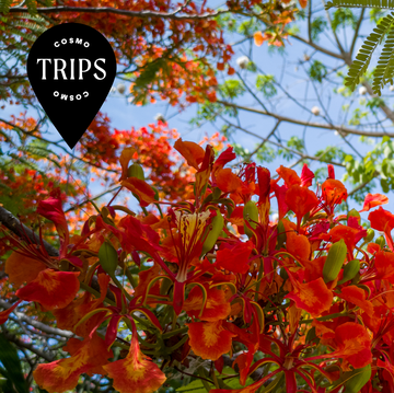 hugo arista eyeem hugo arista eyeem