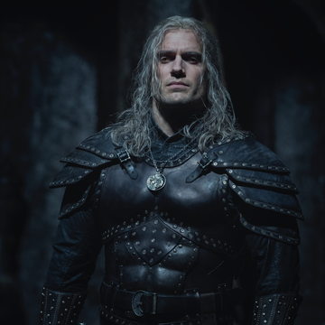 The Witcher the witcher